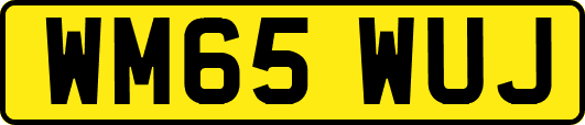 WM65WUJ
