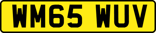 WM65WUV