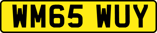 WM65WUY