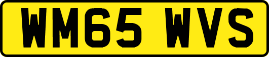 WM65WVS