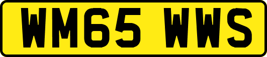 WM65WWS