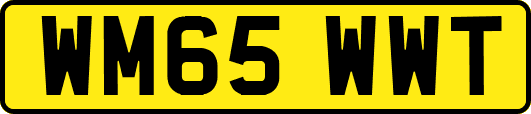 WM65WWT