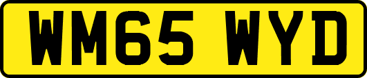 WM65WYD