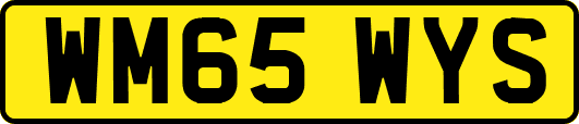WM65WYS