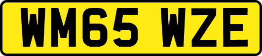 WM65WZE