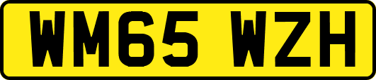 WM65WZH