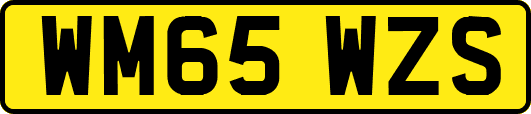 WM65WZS