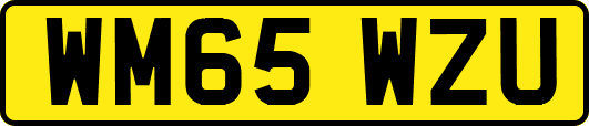 WM65WZU
