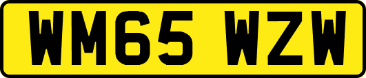 WM65WZW