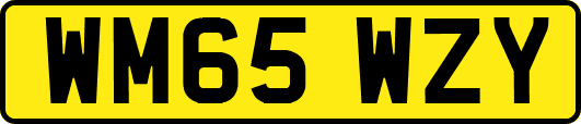 WM65WZY
