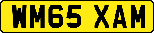 WM65XAM