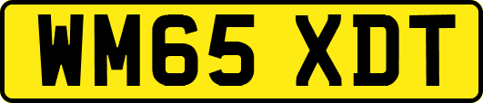 WM65XDT