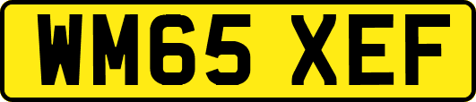 WM65XEF