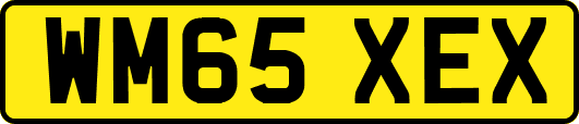 WM65XEX