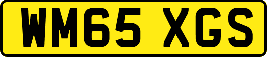 WM65XGS