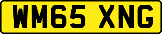 WM65XNG