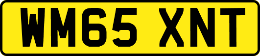 WM65XNT