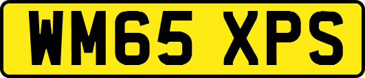 WM65XPS