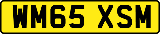 WM65XSM