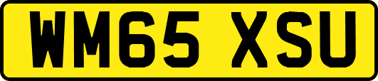 WM65XSU