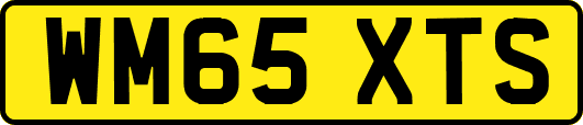 WM65XTS
