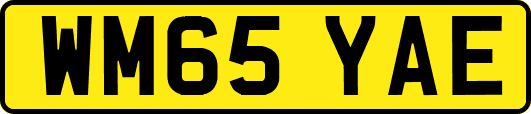WM65YAE