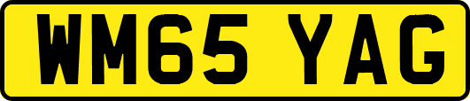 WM65YAG
