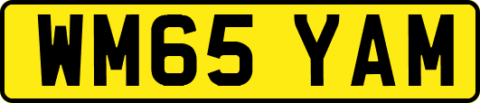 WM65YAM
