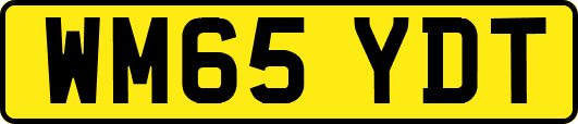 WM65YDT