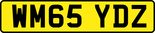 WM65YDZ