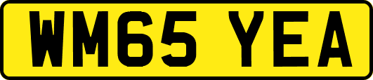 WM65YEA