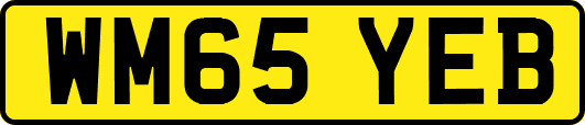 WM65YEB