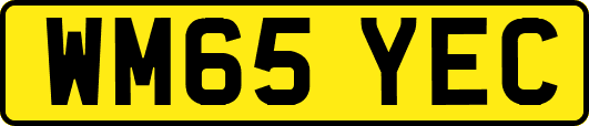 WM65YEC