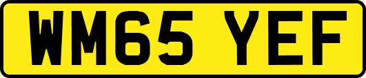 WM65YEF
