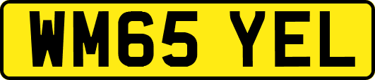 WM65YEL