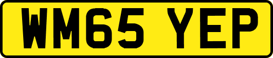 WM65YEP