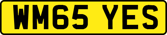 WM65YES