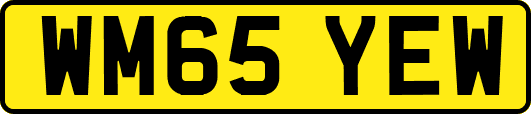 WM65YEW