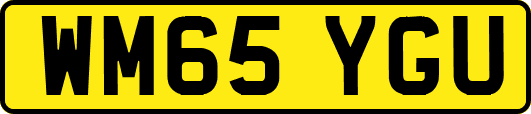 WM65YGU