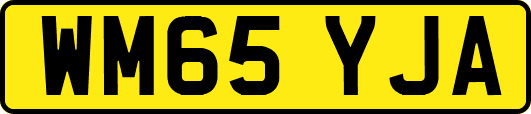 WM65YJA