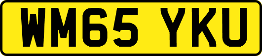 WM65YKU