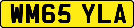 WM65YLA