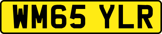 WM65YLR