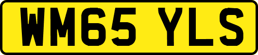 WM65YLS
