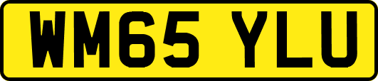 WM65YLU