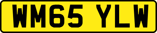 WM65YLW