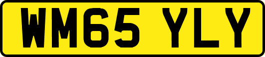 WM65YLY