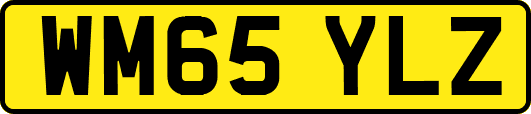 WM65YLZ