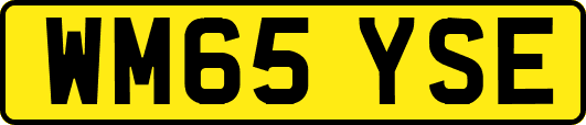 WM65YSE