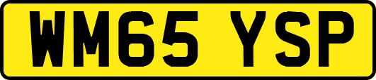 WM65YSP